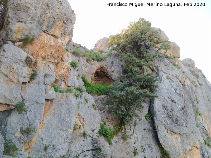 Pinturas rupestres de la Pe�a del Gorri�n IV - Pinturas rupestres de la Pe�a del Gorri�n IV. Cueva