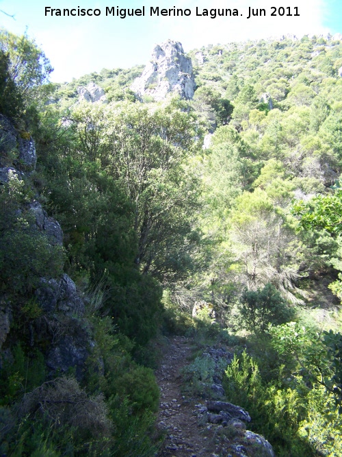 Camino de Herradura de La Nava - Camino de Herradura de La Nava. 