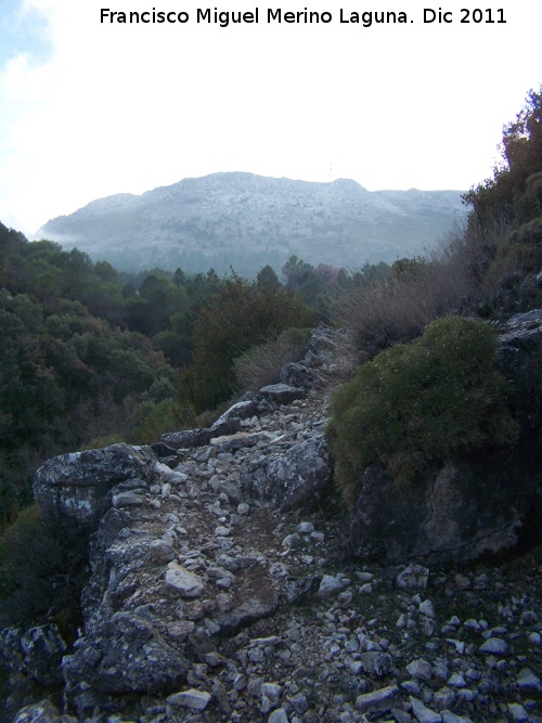 Camino de Herradura de La Nava - Camino de Herradura de La Nava. 