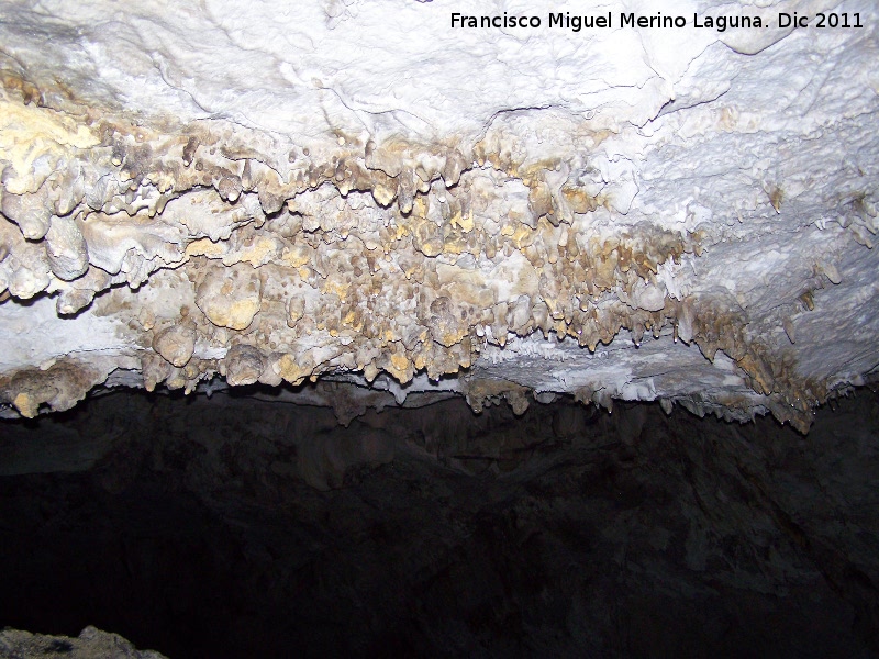 Cueva de La Hoya - Cueva de La Hoya. 