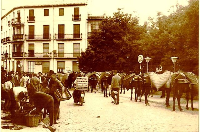 Edificio de la Calle Joaqun Tenorio n 4 - Edificio de la Calle Joaqun Tenorio n 4. Aos 50