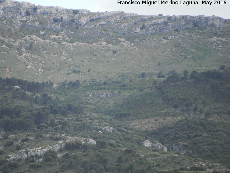 Paraje Fuente de la Zarza - Paraje Fuente de la Zarza. 