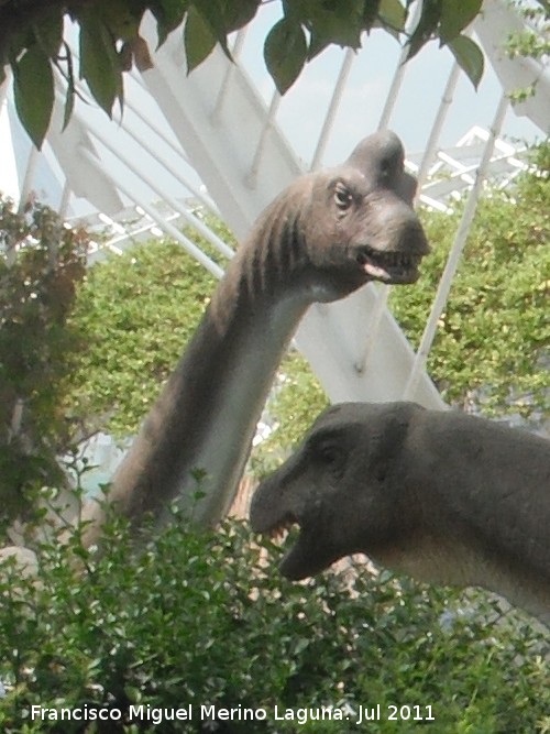 Braquiosaurio - Braquiosaurio. Valencia