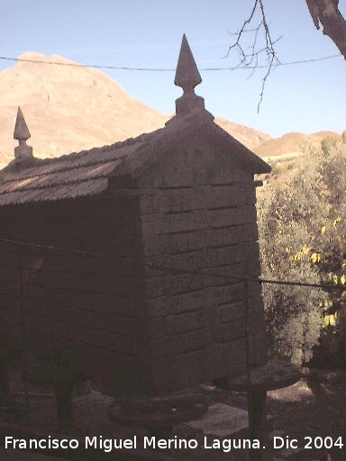 Hrreo de Cuadros - Hrreo de Cuadros. La Serrezuela detrs