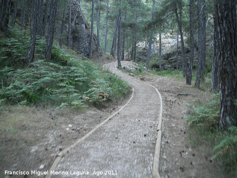 Sendero El Campillo - Ro Madera - Sendero El Campillo - Ro Madera. 