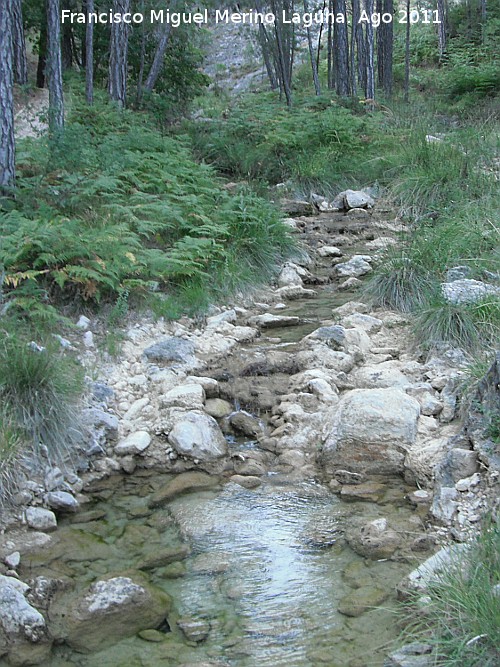 Arroyo Canales - Arroyo Canales. 