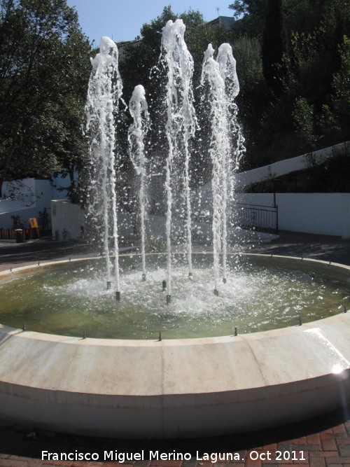 Fuente Nueva de la Calle Trascastillo - Fuente Nueva de la Calle Trascastillo. 