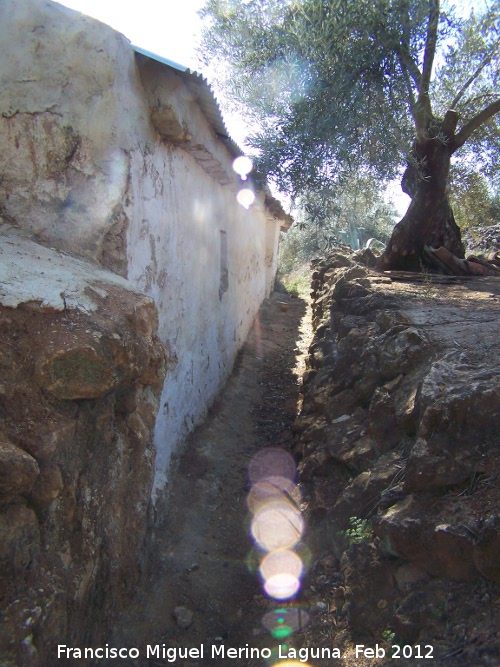 Cortijo de Pedro Requena - Cortijo de Pedro Requena. Zanja trasera para las aguas