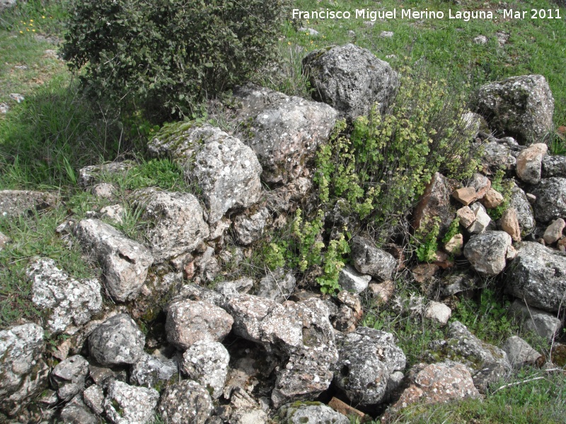 Oppidum de Encina Hermosa - Oppidum de Encina Hermosa. Muros