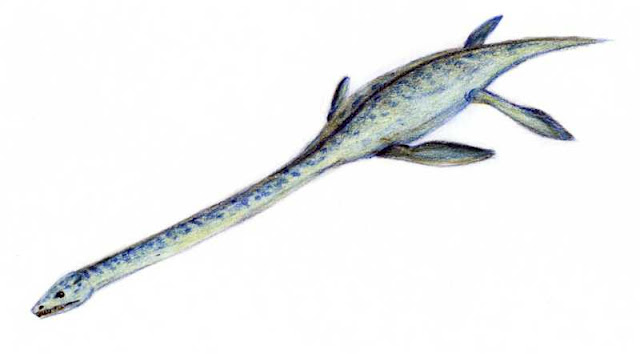 Elasmosaurio - Elasmosaurio. 