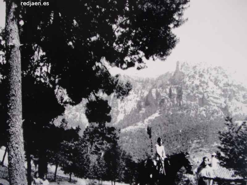 �rea recreativa Fuente del Oso - �rea recreativa Fuente del Oso. Foto antigua