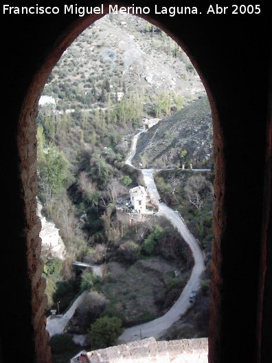 Castillo de la Yedra - Castillo de la Yedra. Matacn