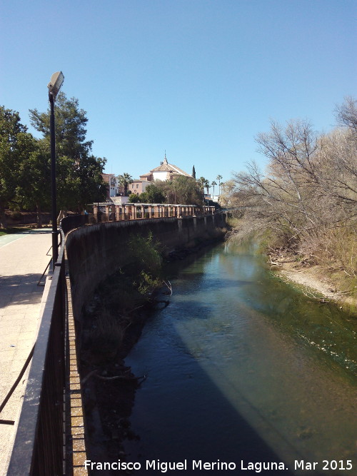 Ro Guadalquivir - Ro Guadalquivir. A su paso por Villanueva de la Reina