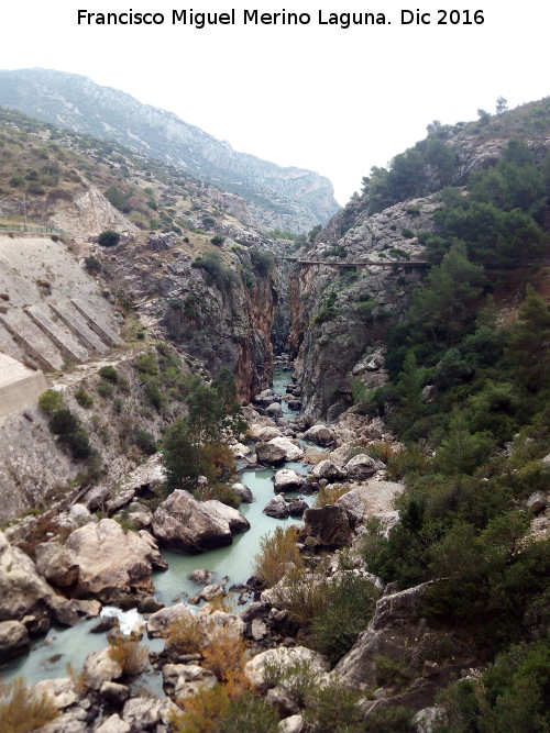 Ro Guadalhorce - Ro Guadalhorce. Tramo del Puente del Rey