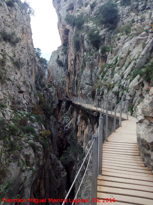 Caminito del Rey - Caminito del Rey. En su tramo del Gaitanejo