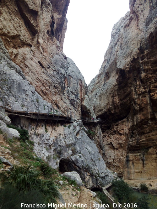 Caminito del Rey - Caminito del Rey. Tramo del Gaitanejo