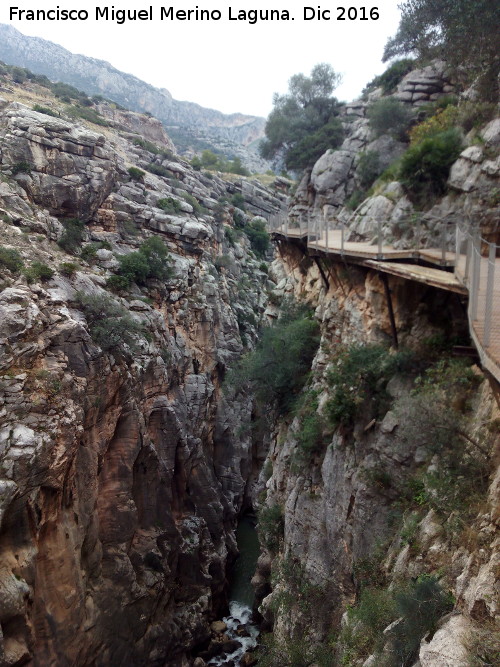 Caminito del Rey - Caminito del Rey. Tramo del Puente del Rey