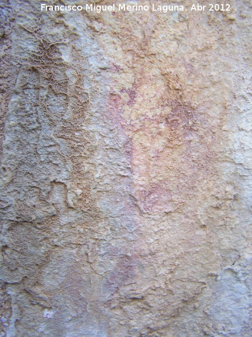 Pinturas rupestres del Abrigo de la Pea Grajera Grupo V - Pinturas rupestres del Abrigo de la Pea Grajera Grupo V. Barra