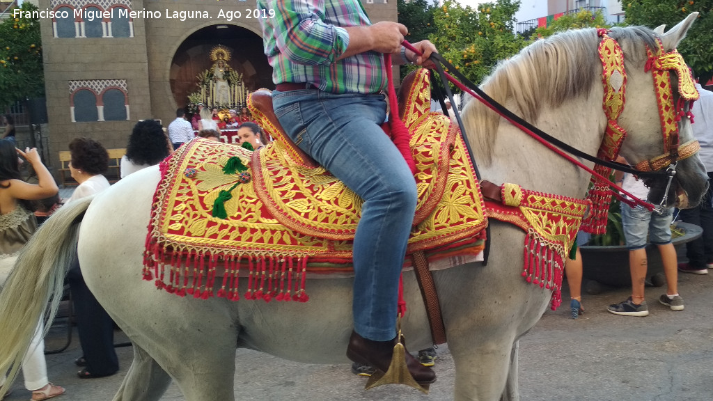 Fiestas de Moros y Cristianos - Fiestas de Moros y Cristianos. Caballo engalanado