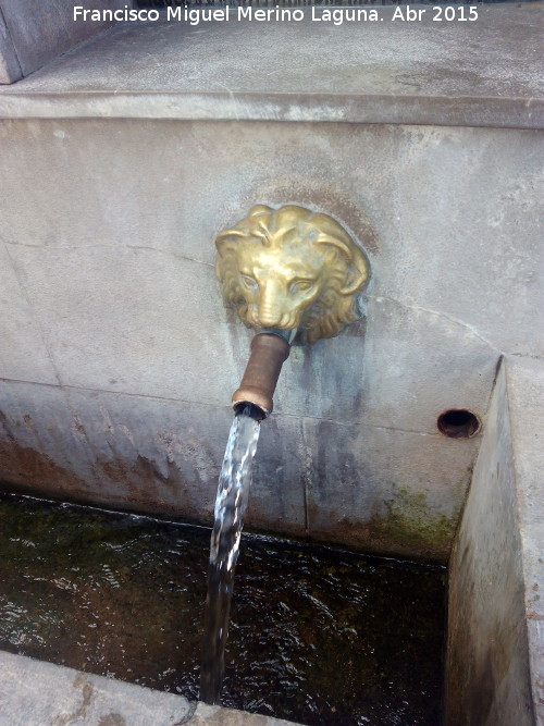 Fuente de la Negra - Fuente de la Negra. Cao