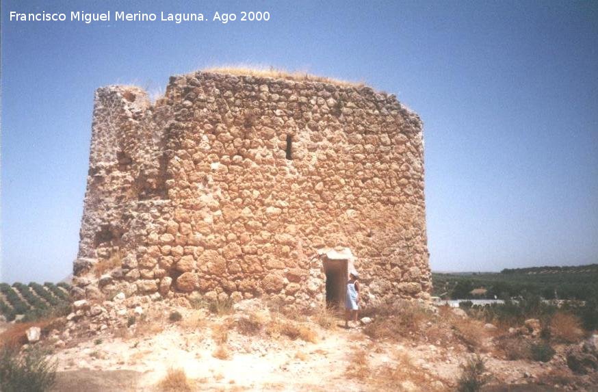 Castillo Torrevieja - Castillo Torrevieja. 