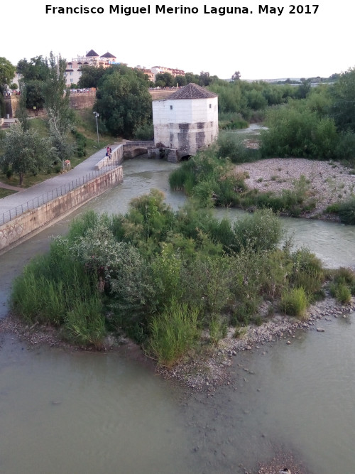 Sotos de la Albolafia - Sotos de la Albolafia. Molino de San Antonio