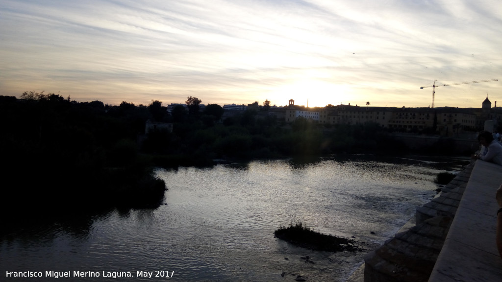 Sotos de la Albolafia - Sotos de la Albolafia. Atardeciendo