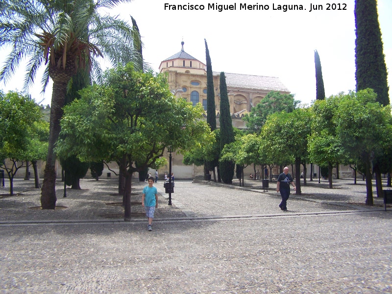 Mezquita Catedral. Patio de los Naranjos - Mezquita Catedral. Patio de los Naranjos. 