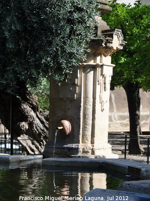 Mezquita Catedral. Fuente de Santa Mara - Mezquita Catedral. Fuente de Santa Mara. 