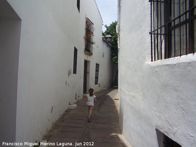 Callejn El Pauelo - Callejn El Pauelo. 