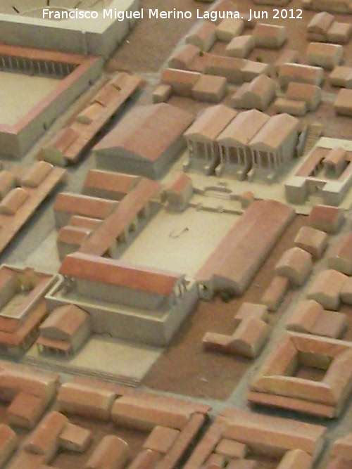 Baelo Claudia. Foro - Baelo Claudia. Foro. Maqueta