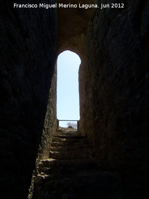 Baelo Claudia. Teatro Romano - Baelo Claudia. Teatro Romano. 