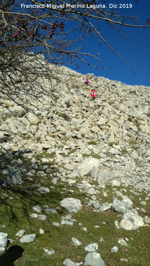 Cerro Los Morales - Cerro Los Morales. Ladera sur