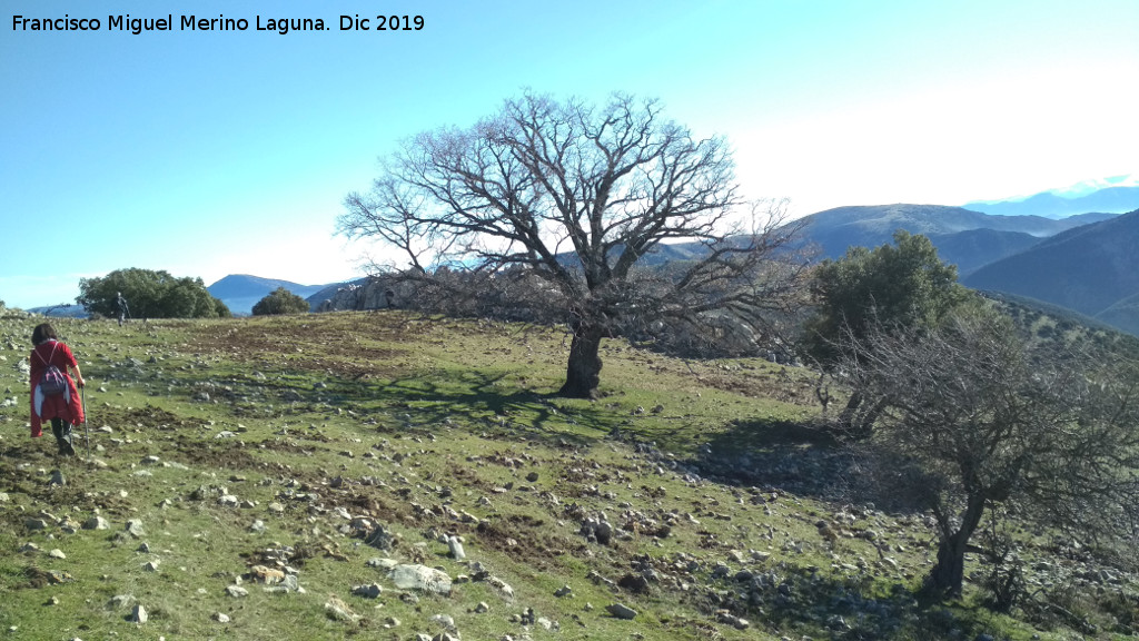 Lomas de Carboneros - Lomas de Carboneros. 
