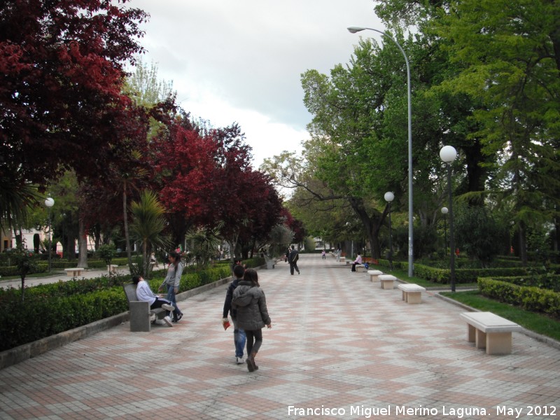 Paseo de la Alameda - Paseo de la Alameda. 