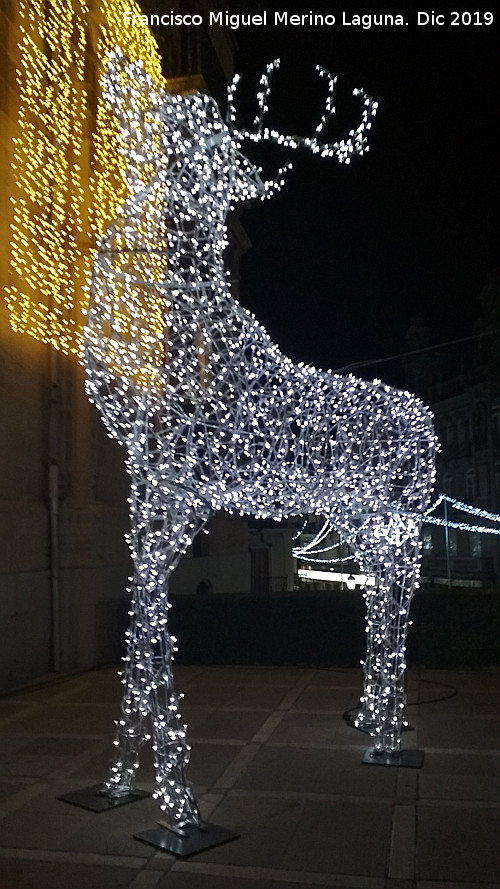 Palacio de la Diputaci�n - Palacio de la Diputaci�n. Iluminaci�n navide�a