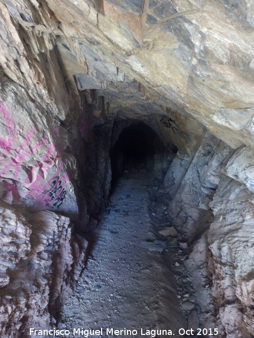 Cueva de la Mona - Cueva de la Mona. Interior