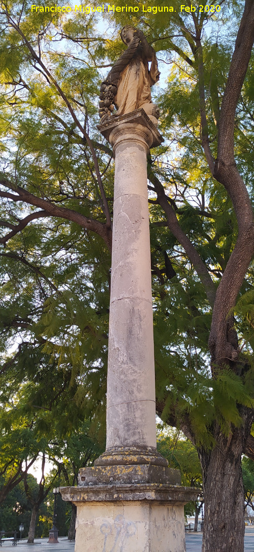 Columna - Columna. Alameda Vieja - Jerez de la Frontera