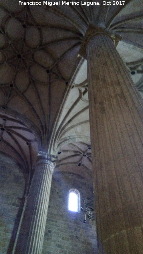 Columna - Columna. Iglesia El Salvador - Caravaca de la Cruz