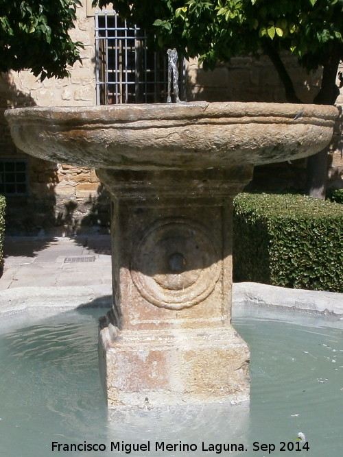 Fuente de la Plaza Vzquez de Molina - Fuente de la Plaza Vzquez de Molina. 