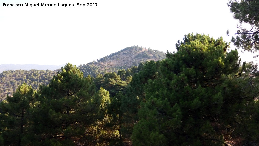 Mirador Paso del Aire - Mirador Paso del Aire. Vistas hacia el Cerro del Mosco