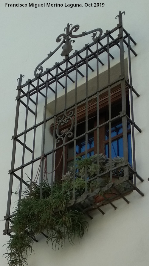 Casa de la Calle Gins Gmez n 3 - Casa de la Calle Gins Gmez n 3. Reja de rosetas