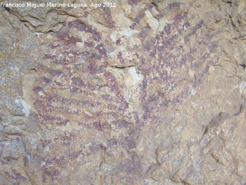 Pinturas rupestres de la Tinada del Ciervo I Abrigo I - Pinturas rupestres de la Tinada del Ciervo I Abrigo I. Ciervo