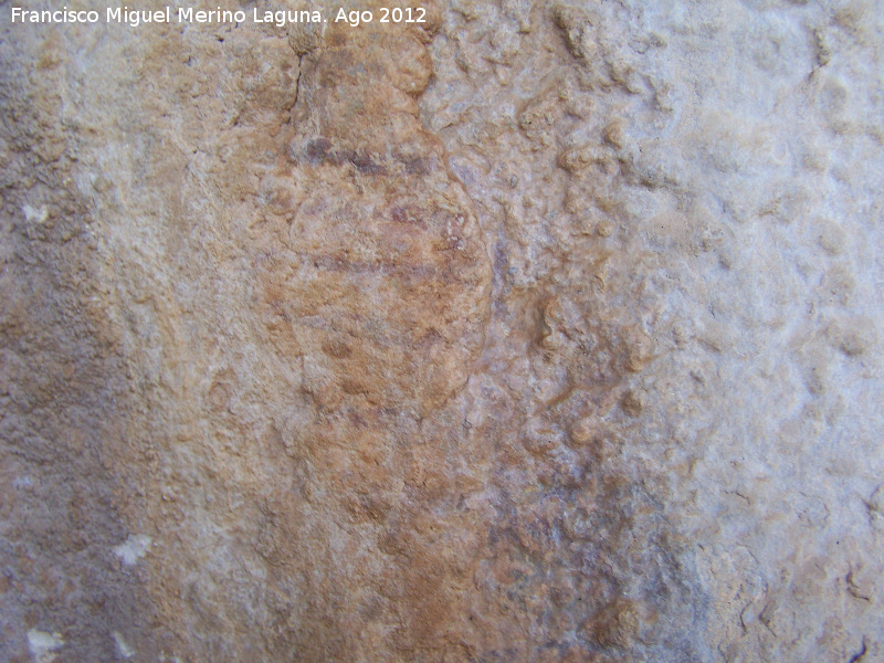 Pinturas rupestres de la Tinada del Ciervo I Abrigo I - Pinturas rupestres de la Tinada del Ciervo I Abrigo I. Cornamentas de ciervos