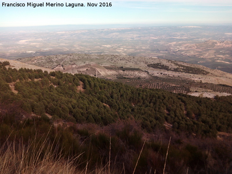 La Atalaya - La Atalaya. Desde el Aznaitn