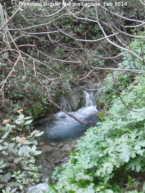 Arroyo de los Baos - Arroyo de los Baos. 