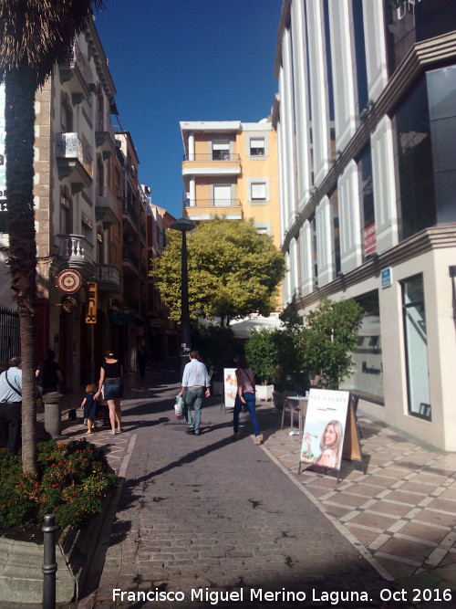 Calle Federico Mendizbal - Calle Federico Mendizbal. 