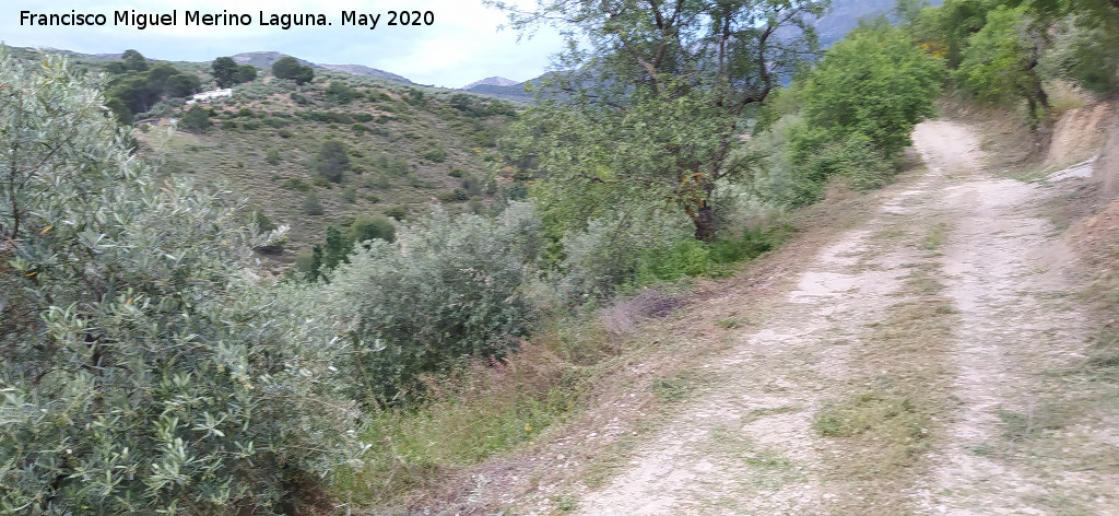 Camino de los Molinos - Camino de los Molinos. 