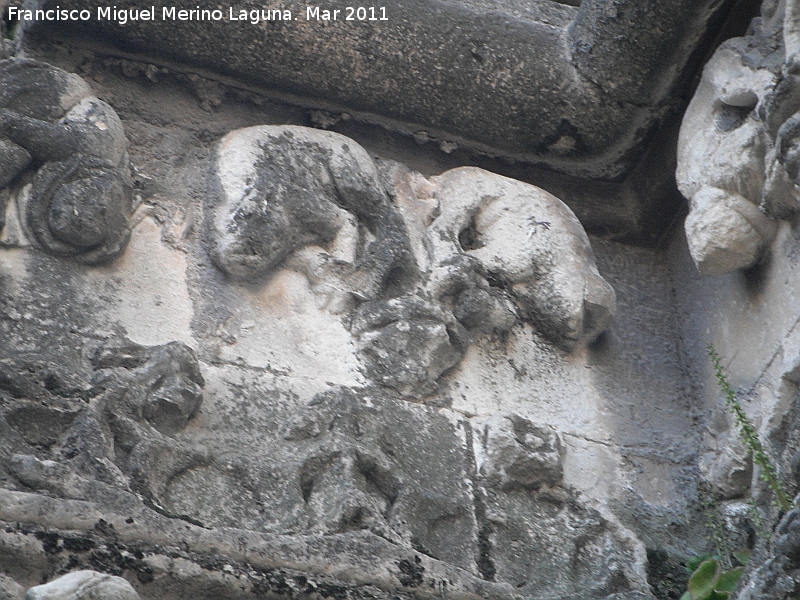 Catedral de Jan. Fachada gtica - Catedral de Jan. Fachada gtica. Animales