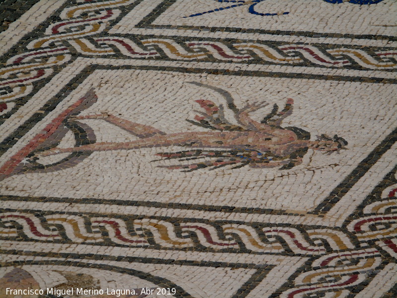 Itlica. Casa de Neptuno - Itlica. Casa de Neptuno. Detalle